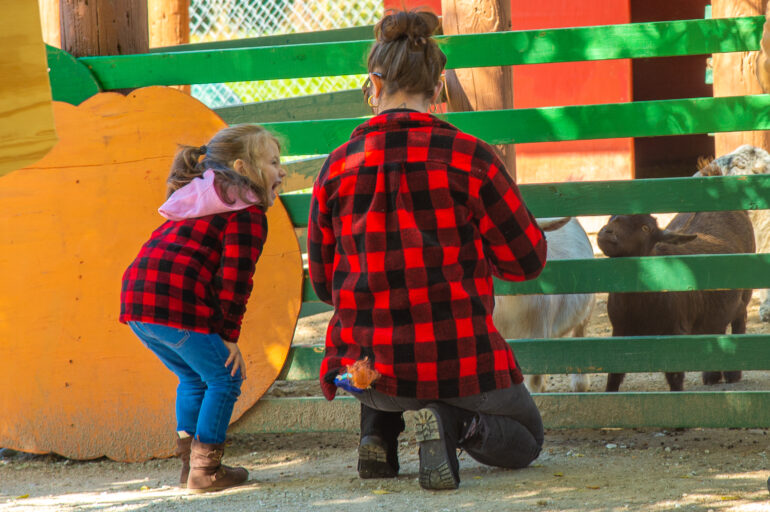 Bear_Den_FarmBDF_4473