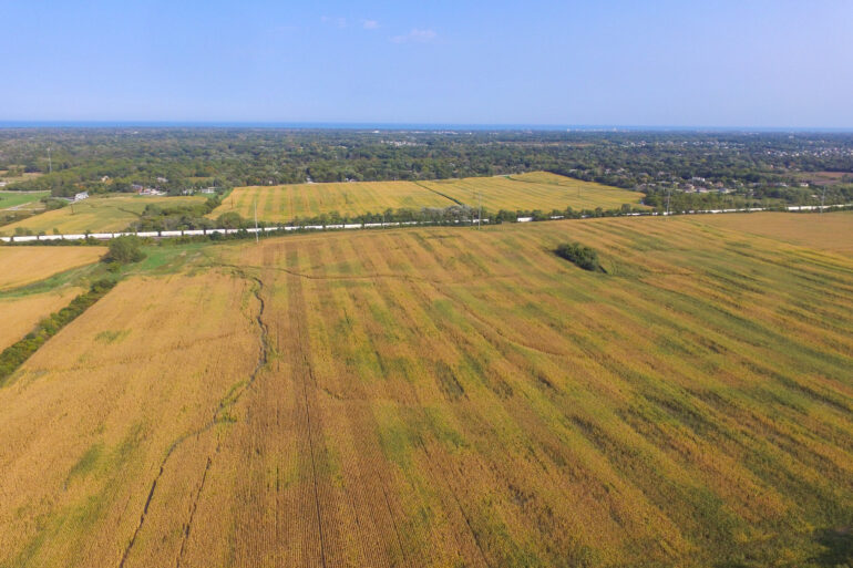 Farm fields in Caledonia