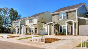 Leo Liviung Development